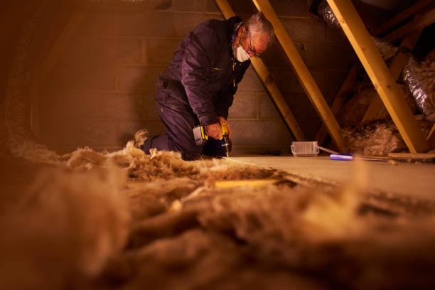 Best Eco-Friendly Insulation in Canonsburg, PA