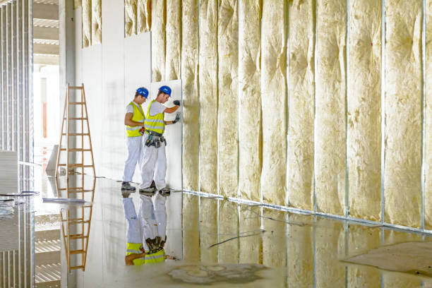 Types of Insulation We Offer in Canonsburg, PA